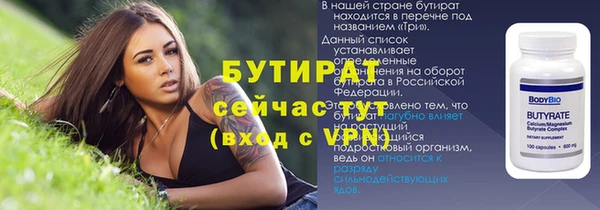 PSILOCYBIN Бородино