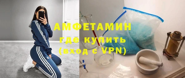 гашиш Богданович