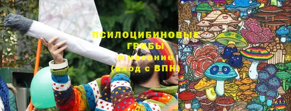 a pvp Богородицк