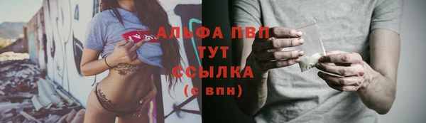 гашиш Богданович