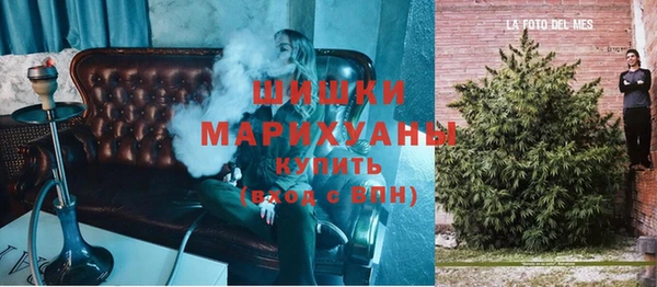 мдпв Богородск