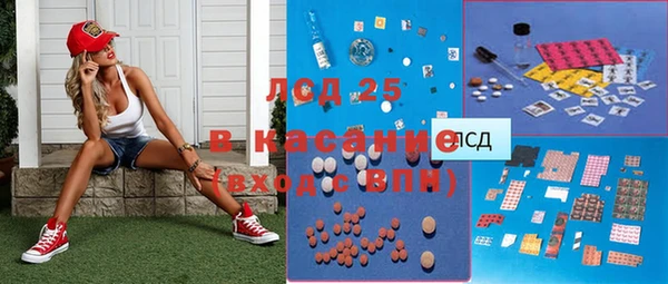 PSILOCYBIN Бородино