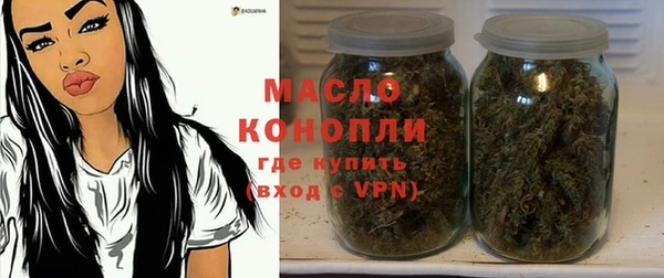 мдпв Богородск