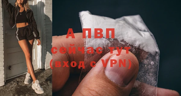 спиды Бронницы
