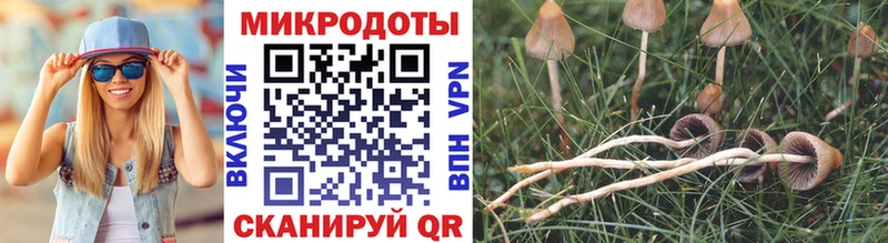 Псилоцибиновые грибы MAGIC MUSHROOMS Дзержинск